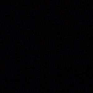 Meet your Posher, Bee